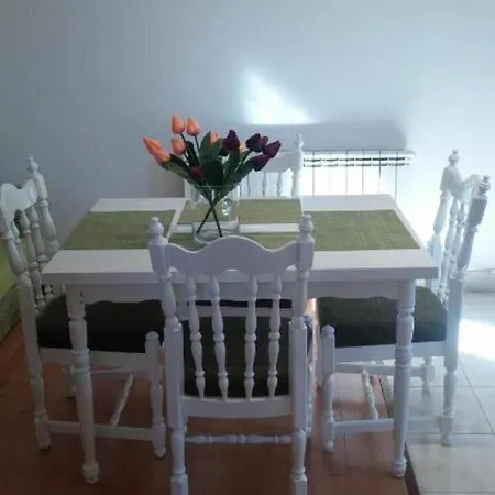 公寓 Apartments Zara Green 扎达尔